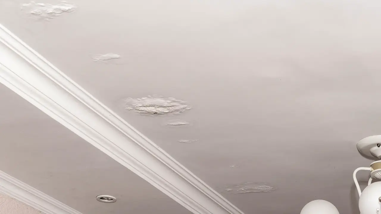 Ceiling roof leak